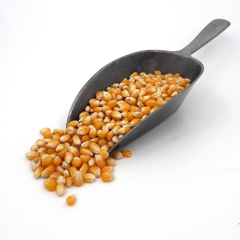 MAIZ PARA PALOMITAS