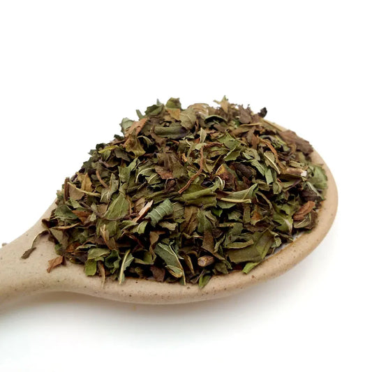 HOJA DE MENTA