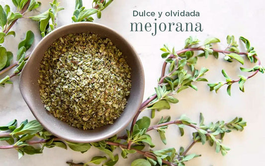 MEJORANA
